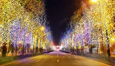 ⑧大都会の夜の景色を見ながら走れる